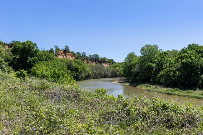 Water view with a forest | Image 40