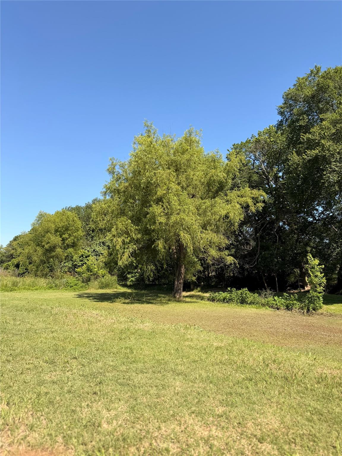 Land in Austin 5