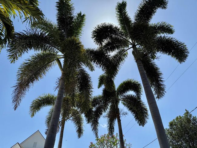 206 Russlyn Dr, House other with 3 bedrooms, 3 bathrooms and null parking in West Palm Beach FL | Image 51