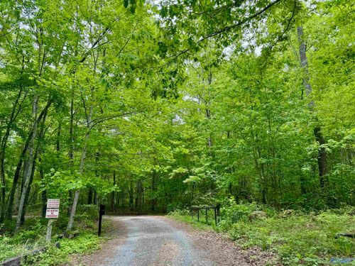 Lot 40 Road 9050, Mentone, AL, 35984-5022 | Card Image