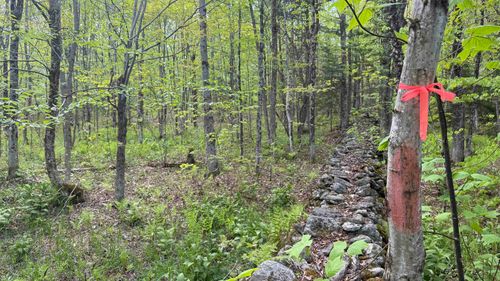 00 Potter Rd, Lowell, VT, 05847 | Card Image