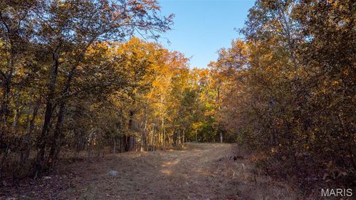 000 County Road 137, Annapolis, MO, 63620 | Card Image