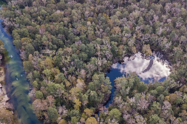 6194 Bear Trl, House other with 4 bedrooms, 4 bathrooms and null parking in WEEKI WACHEE FL | Image 68