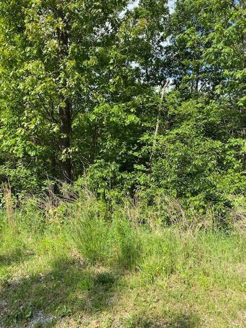 24 Stoneleigh Ln, Bella Vista, AR, 72715-6932 | Card Image