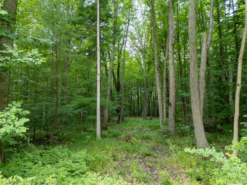 VL Rabidue Road, Clyde Township, MI, 48049 | Card Image
