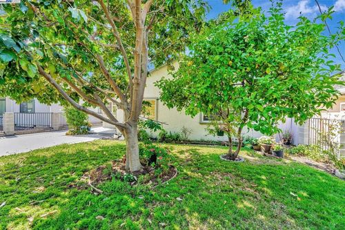 1127 Madera Ave, Menlo Park, CA, 94025-1603 | Card Image