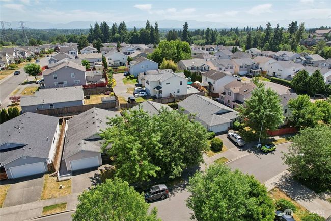 Such a great established neighborhood in Lea Hill, look at the trees and the mountains in the distance! | Image 33