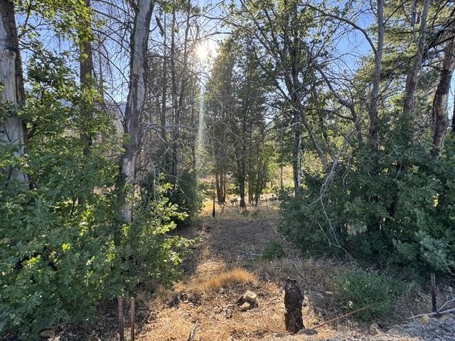 Land in Greenville 5