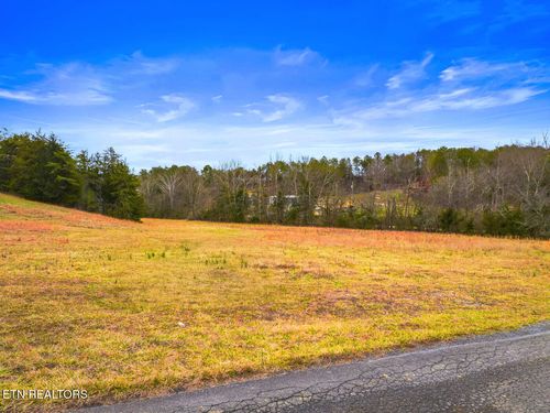 1 Lonesome Point Rd, Bybee, TN, 37713 | Card Image