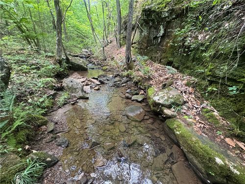 1 Nc 7540, Ozone, AR, 72854 | Card Image