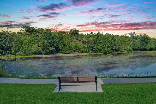 APT-203 - 500 Mirasol Cir, Condo with 1 bedrooms, 2 bathrooms and null parking in CELEBRATION FL | Image 66