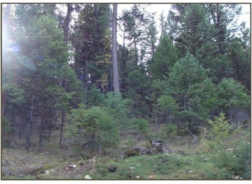 7 Whispering Pines Subdivision, Fortine, MT, 59918 | Card Image