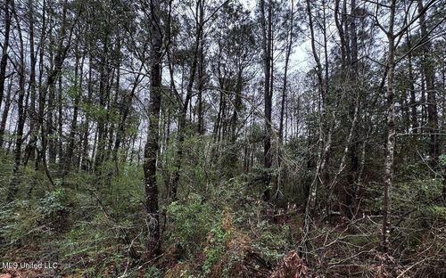 12310 Barbara Dr, Gulfport, MS, 39503 | Card Image