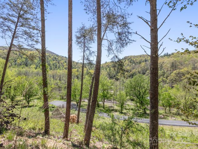 47 - 21 River Park Way, Home with 0 bedrooms, 0 bathrooms and null parking in Marshall NC | Image 15