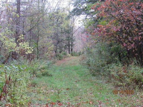 Off Mill Rd, Ogema, WI, 54459 | Card Image