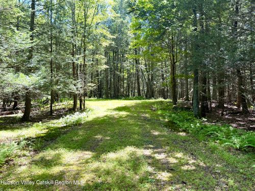 39 Mamoud Hill Rd, Kingston, NY, 12401 | Card Image
