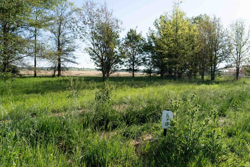 9925 Ayrshire Rd, Chandler, IN, 47610 | Card Image