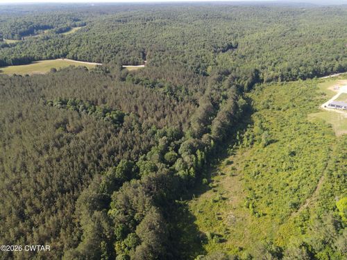 0 Walter Mills Road, Sugar Tree, TN, 38380 | Card Image
