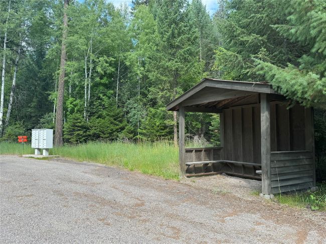 Kootenai Woods | Image 26