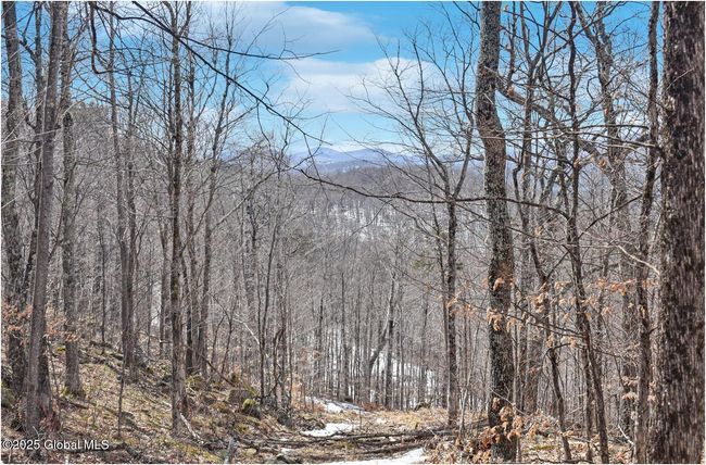 48 Durkin Rd, Home with 0 bedrooms, 0 bathrooms and null parking in North Creek NY | Image 60