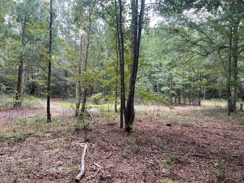 Tbd Wild Turkey Rd, Cameron, SC, 29030 | Card Image
