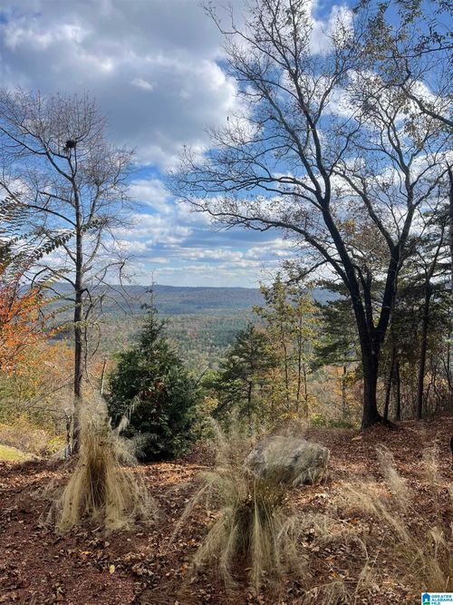 1-0 Lakeview Cir, VANDIVER, AL, 35176 | Card Image