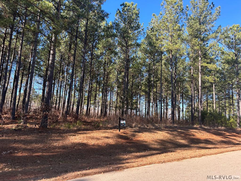 Land in Macon 2