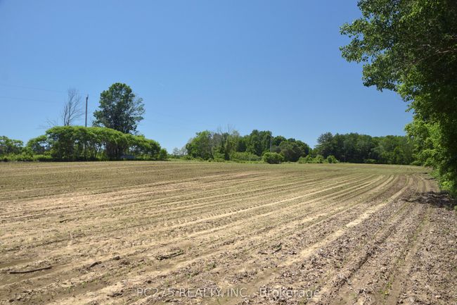 54067 Mcquiggan Line, Home with 0 bedrooms, 0 bathrooms and null parking in Bayham ON | Image 12