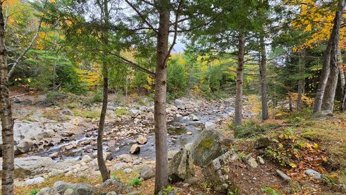 1588 Roxbury Road, Roxbury, ME, 04275 | Card Image