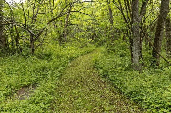 View of tree filled area | Image 18