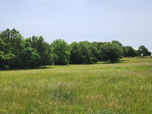 Lot 12 N Farm Road 61, Walnut Grove, MO, 65770 | Card Image