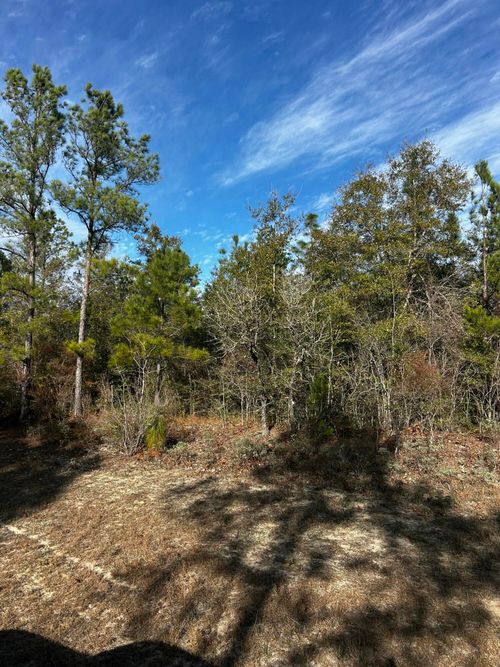 TBD Valiant Dr, Chipley, FL, 32428 | Card Image