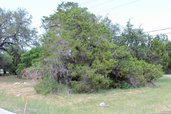 0 Tbd, Home with 0 bedrooms, 0 bathrooms and null parking in Spring Branch TX | Image 7