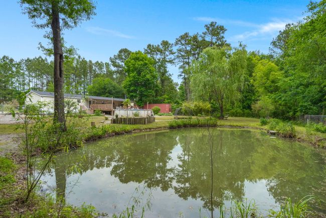 pond | Image 25