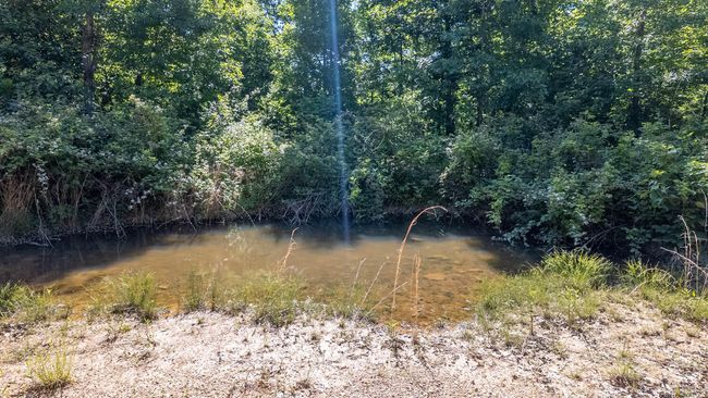 10 acre hobby farm007 | Image 10