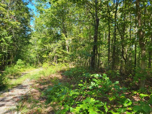 7 Strawberry Gables, Holladay, TN, 38341 | Card Image