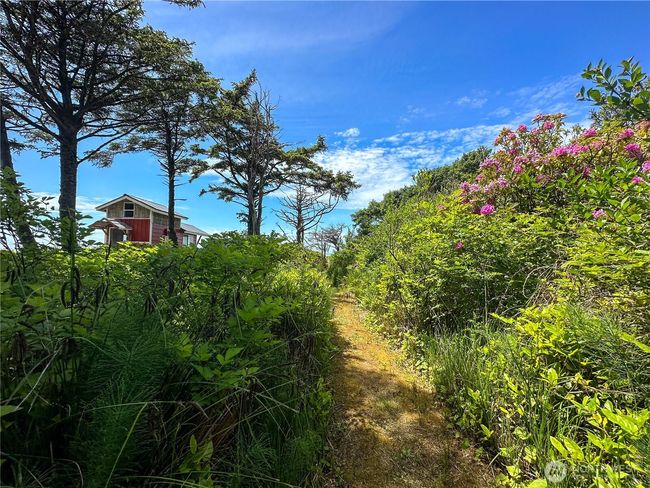 4753 Beach Ln, Home with 0 bedrooms, 0 bathrooms and null parking in Moclips WA | Image 23