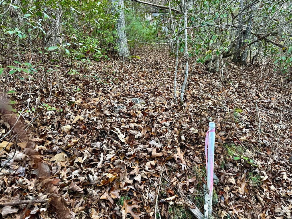 Land in Franklin 3