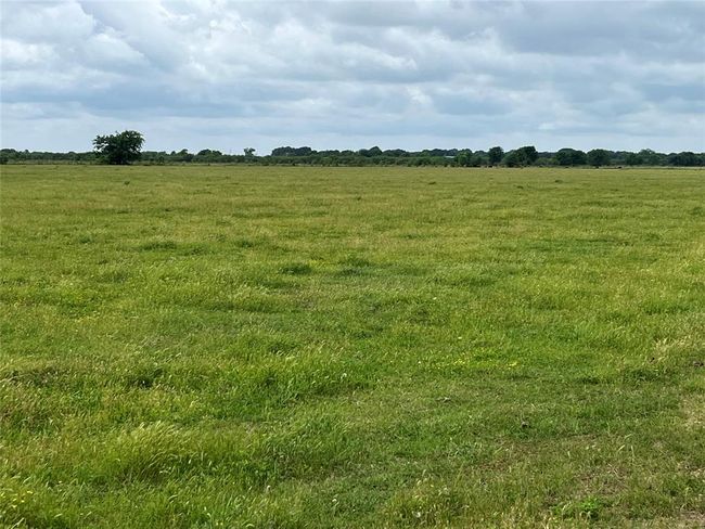 2627 Beasley West End Rd, Home with 0 bedrooms, 0 bathrooms and null parking in Beasley TX | Image 17