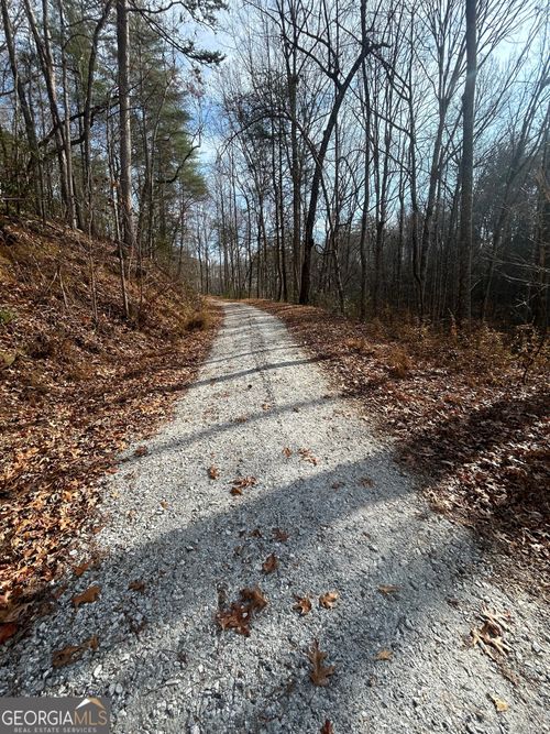 0 Amaryllis Ln, Tiger, GA, 30576 | Card Image