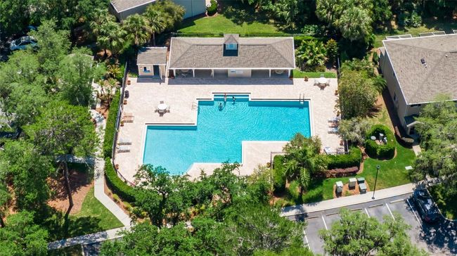 15787 Fishhawk Falls Dr, Townhouse with 2 bedrooms, 3 bathrooms and null parking in Lithia FL | Image 36