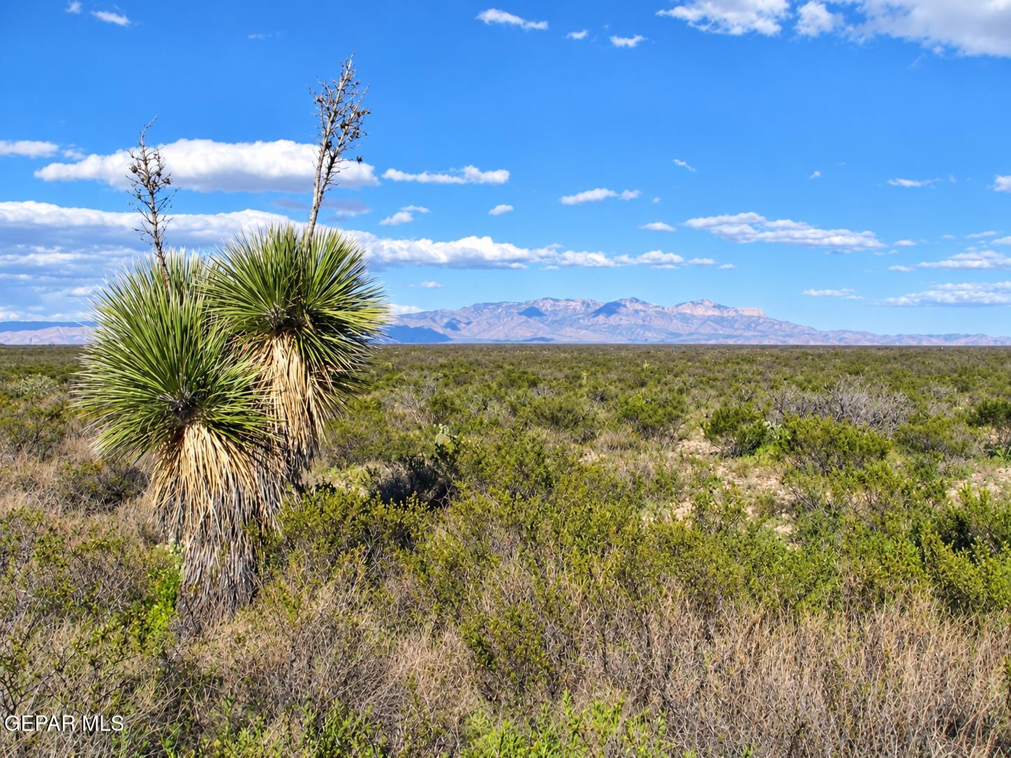 Land in Sierra Blanca