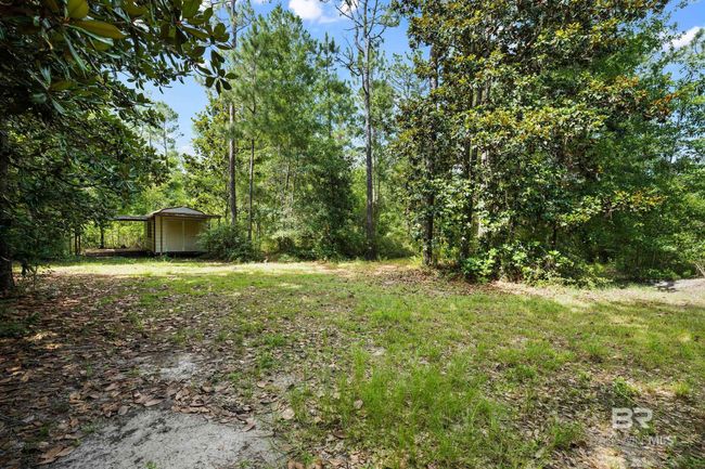 Yard | Image 8