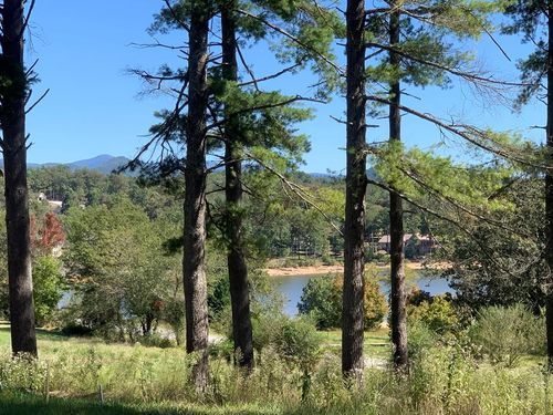Lot 173 Highland Xing, Blairsville, GA, 30512 | Card Image
