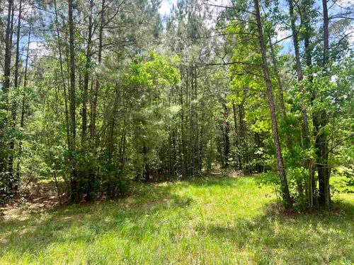 1108 Alma Dr, Lumberton, TX, 77657-7703 | Card Image