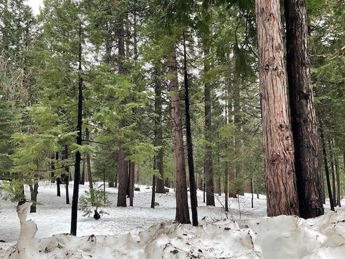 3065 Apache Rd, Arnold, CA, 95223 | Card Image