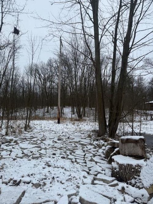 0 Williams Rd, Gaines, MI, 48436 | Card Image