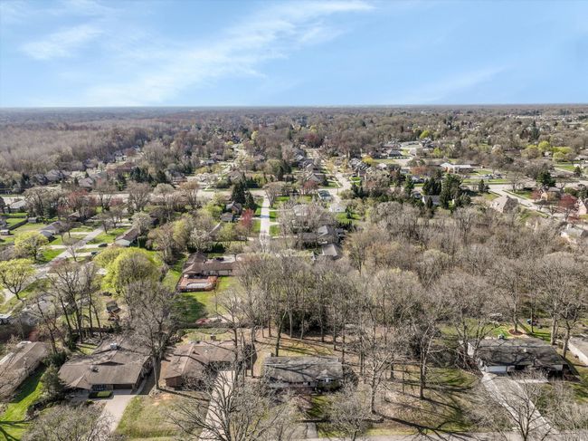 Mature trees | Image 30