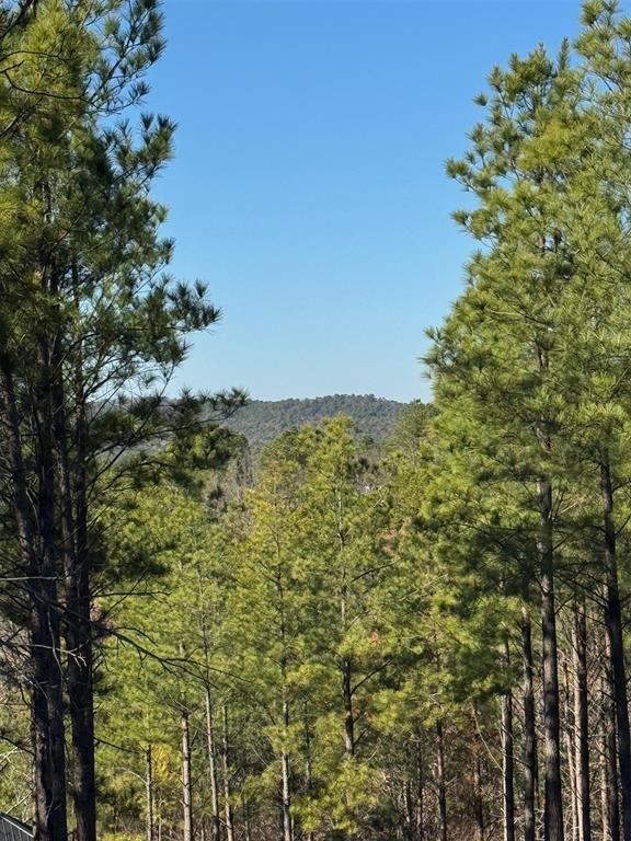 Land in Broken Bow 4