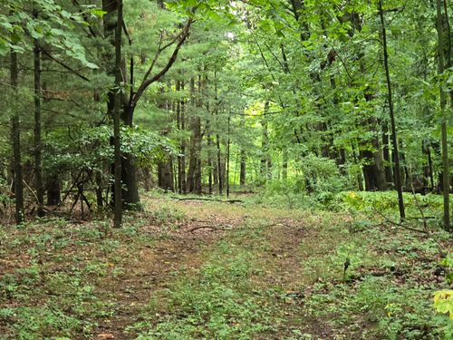 vl Lehring Rd Road, Burns Township, MI, 48429 | Card Image